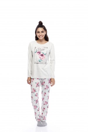 100188 פיגמת בייסיק ROSES
