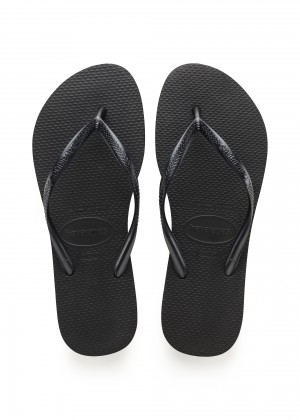 כפכפי בייסיק חלקות HAVAIANAS (Havaianas)