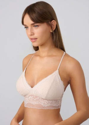 ברלט תחרה בשני גוונים (bras)